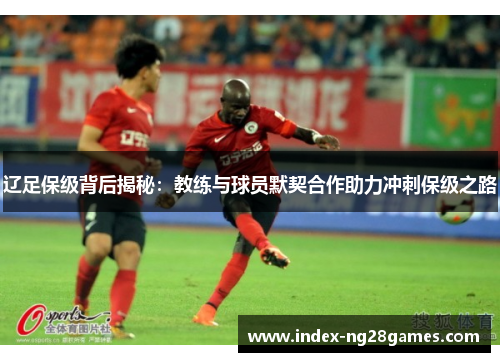 辽足保级背后揭秘：教练与球员默契合作助力冲刺保级之路