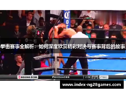 拳击赛事全解析：如何深度欣赏精彩对决与赛事背后的故事